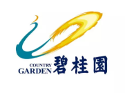 武平碧桂园地产